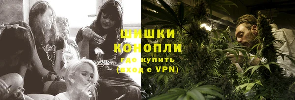 СК Богородск