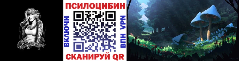 Псилоцибиновые грибы Cubensis  Купить  Могоча 